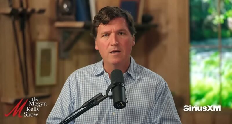 Business expert predicts GOP will choose Tucker Carlson as next nominee