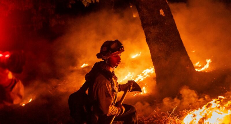 A firefighter is surrounded by flames in  Aetna Springs area of Napa County, Calif.