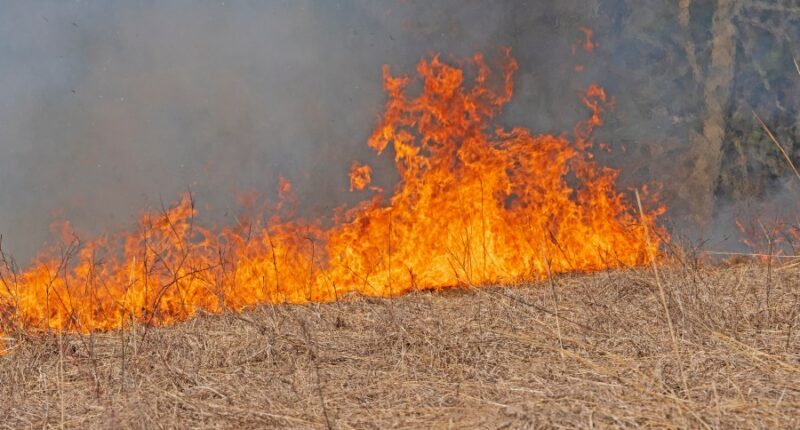 Central IL fire departments implement burn bans amidst drought conditions