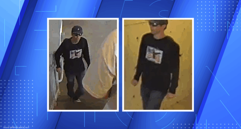 Charlie Kirk shooting: Photos of 'person of interest' released