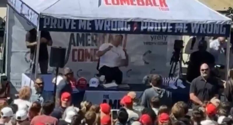 Charlie Kirk shot at conservative students' rally in Utah: Horror video shows MAGA star 'being hit in the neck'
