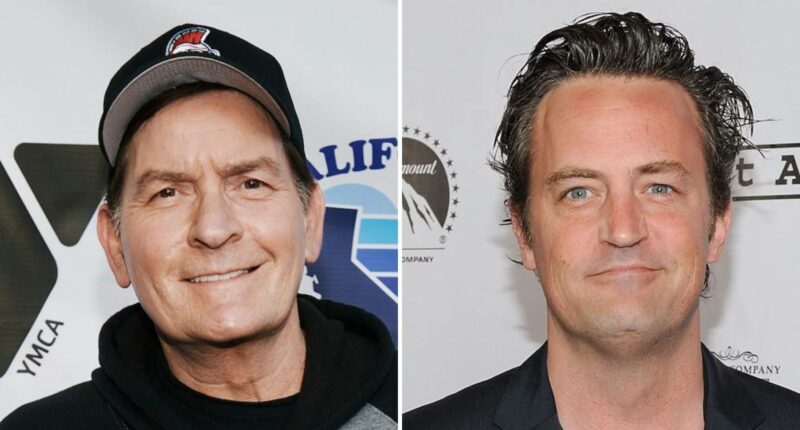 Charlie Sheen Claims He Could Tell Matthew Perry 'Wasn't Sober'