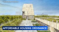 Chicago City Council committee votes on plan to address housing concerns linked to Obama Presidential Center in Jackson park