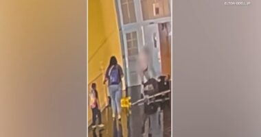 Chicago Public Schools custodian Elton Odell, Jr. says teacher assistant attacked him at John M. Smyth School on Near West Side