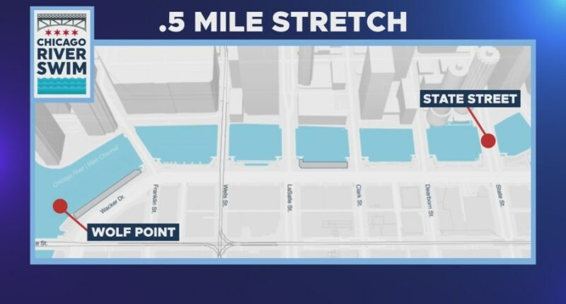 Chicago River the site of first organized swim since 1927