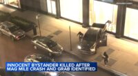 Chicago crime: Mark Arceta killed in crash after burglars smash into Magnificent Mile Louis Vuitton store on Michigan Avenue