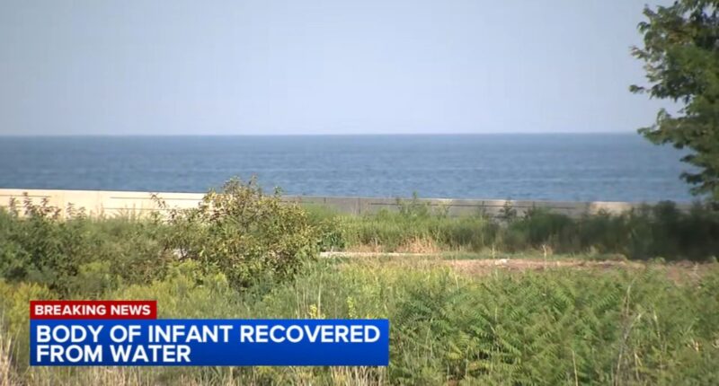 Chicago death investigation: Infant girl found dead in Lake Michigan near 57th Street Beach, police say