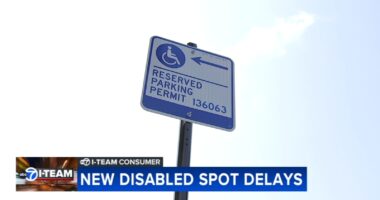 Chicago residents struggle with delays, denials from city for disabled parking spot applications