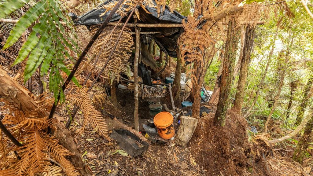 Child's astonishing act when they were found in the bush after dad was shot dead fleeing police