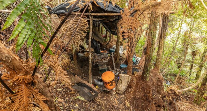Child's astonishing act when they were found in the bush after dad was shot dead fleeing police