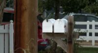 Colorado residents warned of child sex abuse mail scam