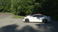 Coroner: Unclear if Brookside Park remains are fetus or infant