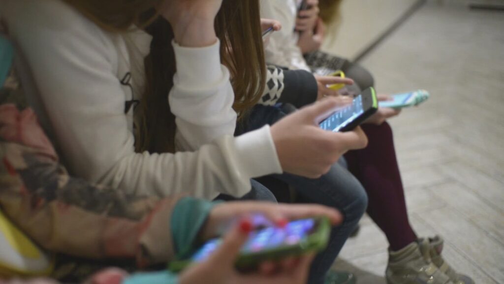 Cyberbullying crimes in Florida explained