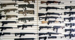 DOJ sues LA County Sheriff's Department over concealed carry