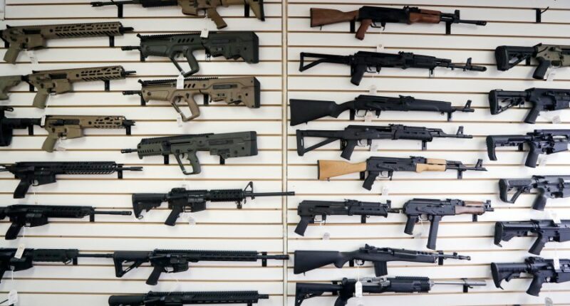 DOJ sues LA County Sheriff's Department over concealed carry