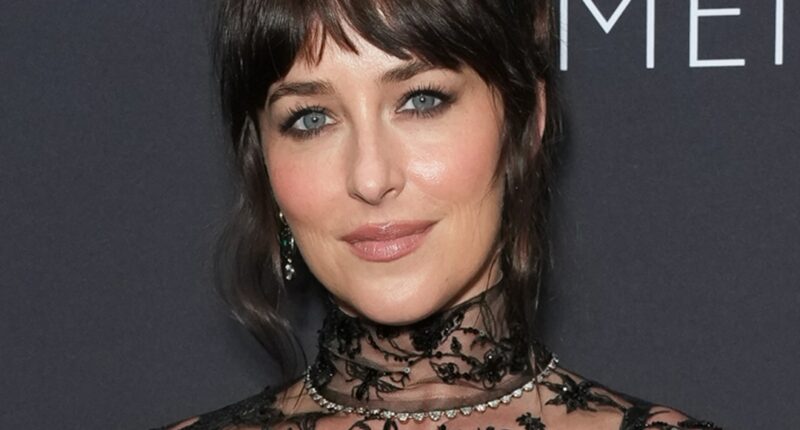 Dakota Johnson's Latest See-Through Look Is Her Most Daring Yet
