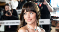 Dakota Johnson's Inappropriate Outfits That Nearly Ended In Disaster