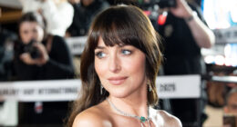 Dakota Johnson's Inappropriate Outfits That Nearly Ended In Disaster