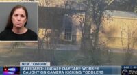 Day care worker pleads guilty to abusing toddlers 134 times