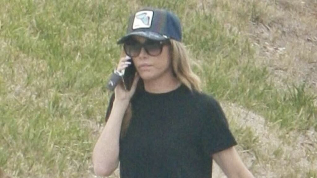 Denise Richards moves furniture and dogs out of Calabasas rental home