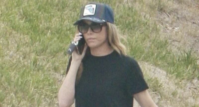 Denise Richards moves furniture and dogs out of Calabasas rental home