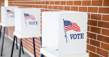 Deputy director fired from South Carolina Election Commission for improper conduct
