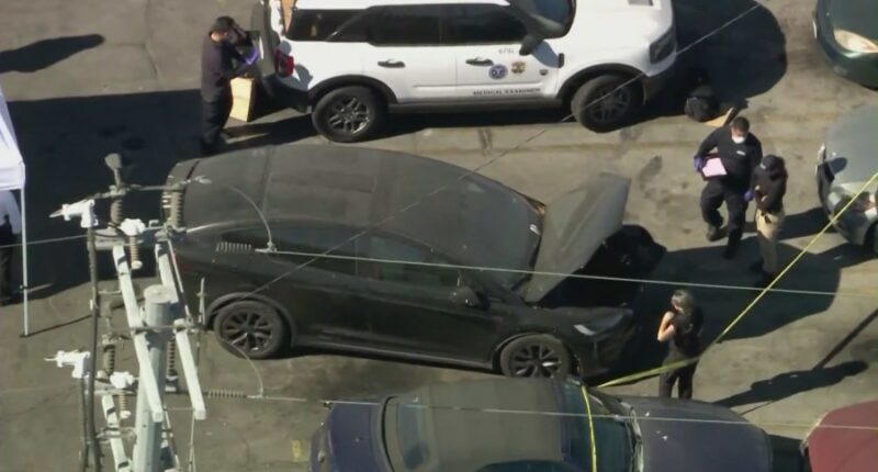 Details emerge after 2 bodies found in Los Angeles tow yards