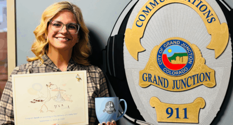 Dispatcher helps deliver baby over the phone, for a second time in career