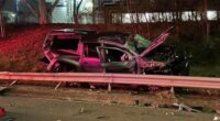Dog thrown from police car in Melbourne freeway crash