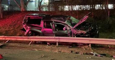 Dog thrown from police car in Melbourne freeway crash