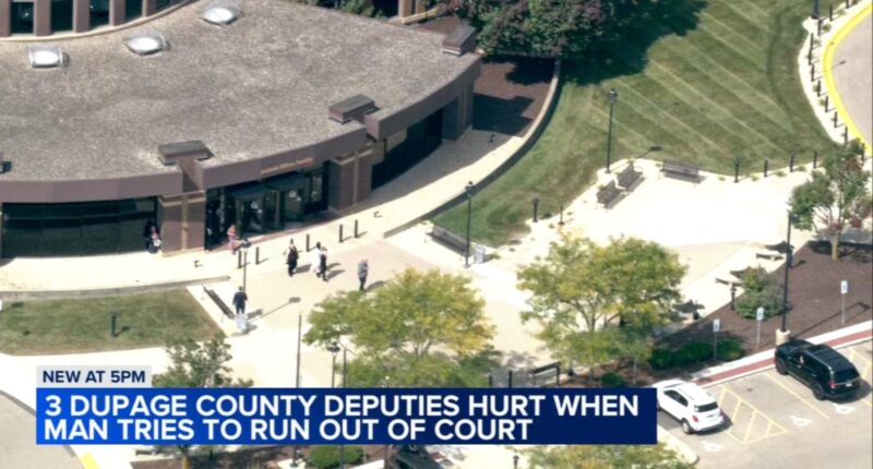 DuPage County Courthouse fight: 3 deputies injured during struggle with suspect, fall down escalator, officials say