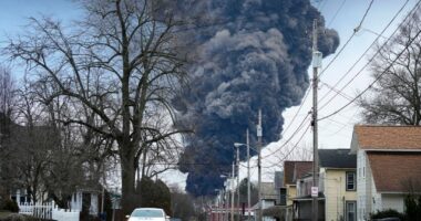 FILE - A black plume rises over East Palestine, Ohio, as a result of a controlled detonation of a portion of the derailed Norfolk Southern trains Monday, Feb. 6, 2023. (AP Photo/Gene J. Puskar, File)