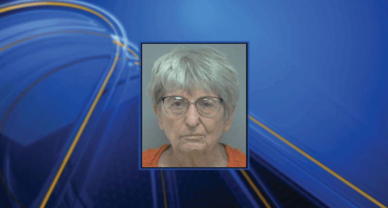 Elderly woman arrested, charged with murder in Hilton Head Island shooting