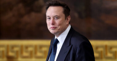 Elon Musk Went Full Drama Queen On Trump In Desperate Move To Get Back Together