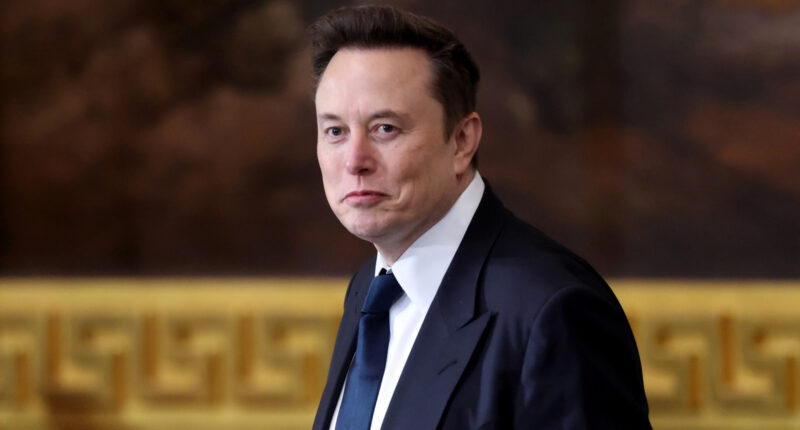 Elon Musk Went Full Drama Queen On Trump In Desperate Move To Get Back Together