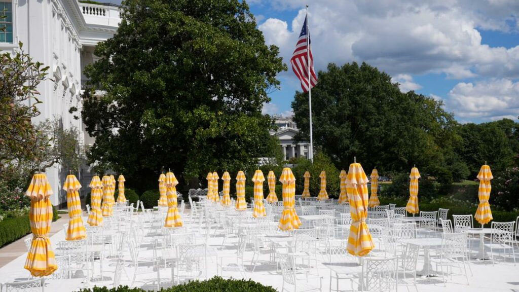 Elon Musk will be absent from Trump's White House dinner for top tech CEOs