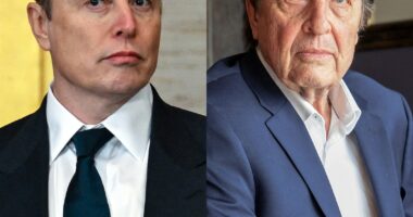 Elon Musk's Dad Accused of Sexual Abuse by 5 of His Children