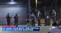 Englewood, Chicago shooting today: 4 men shot in 6600-block of South Halsted Street, police department says