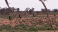 Search for missing boy Gus from outback South Australia