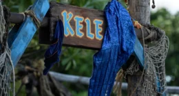 Fans Predict the ‘Disaster Tribe’