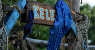 Fans Predict the ‘Disaster Tribe’