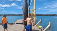 Father and son reel in 650-pound fish in Hawaii