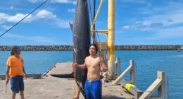 Father and son reel in 650-pound fish in Hawaii