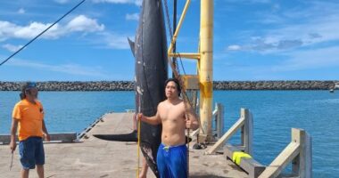 Father and son reel in 650-pound fish in Hawaii