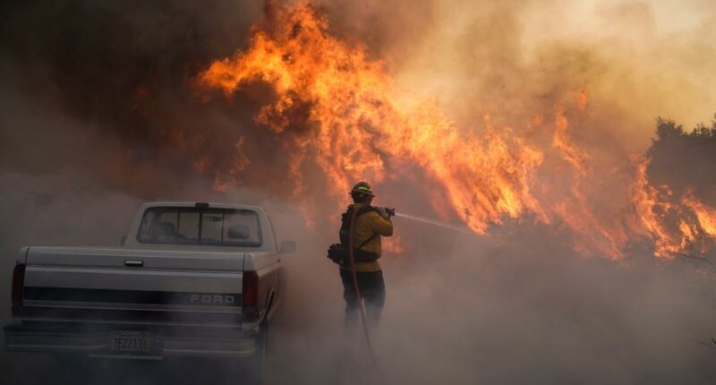 Federal agencies announce plans for new unified wildfire services