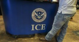 Federal jury indicts three women over ICE doxing in California