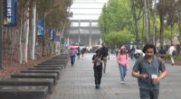 Fewer international students enrolling in American universities, report says