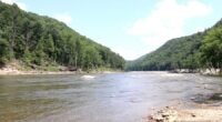 Fish population weathered Helene, TWRA survey finds