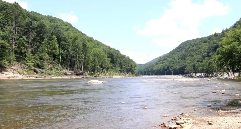 Fish population weathered Helene, TWRA survey finds
