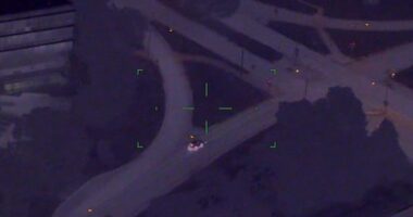 Five teenagers have been arrested following a lengthy pursuit across the southeastern and eastern suburbs of Melbourne
